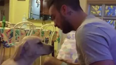 Quiso retar a su perro pero lo venció su exceso de ternura Quiso retar a su perro pero lo venció su exceso de ternura