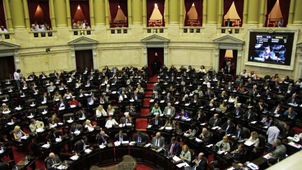 Recortes en el Garrahan: los médicos del hospital van al Congreso