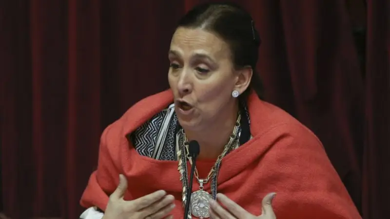 Increíble: Michetti amadrinó a la empresa que fundió a Aerolíneas