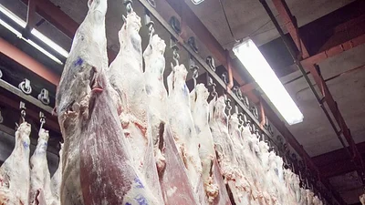 Piden que el Gobierno intervenga el precio de la carne Piden que el Gobierno intervenga el precio de la carne