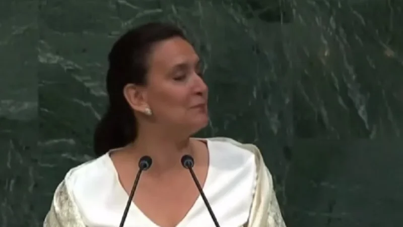 Papelón en la ONU: Michetti habló sin saber que el micrófono estaba abierto