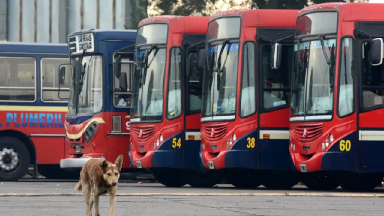 La UTA se adhiere al paro del 25 y no habrá transporte
