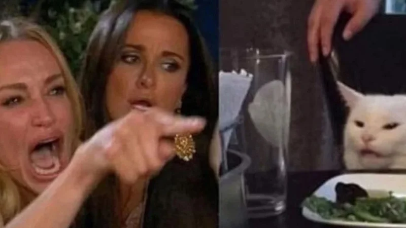 El origen del meme de la mujer que le grita al gato: “Me dijiste que…”