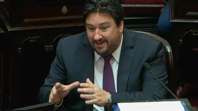 La sorpresiva propuesta del ex gobernador de Misiones, Maurice Closs, en el Senado