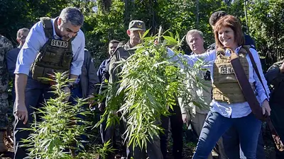 Patricia Bullrich reconoció que consumió droga en España Patricia Bullrich reconoció que consumió droga en España