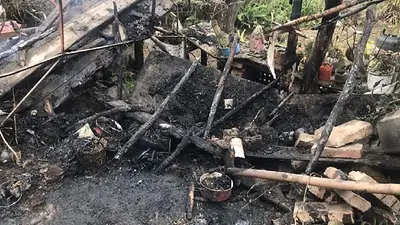 Conmoción en Tucumán: un joven prendió fuego a su madre y se suicidó ahorcado Conmoción en Tucumán: un joven prendió fuego a su madre y se suicidó ahorcado
