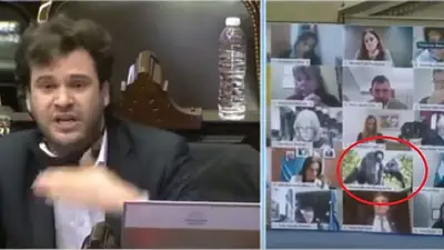 La brutal chicana de un diputado peronista a un macrista en plena sesión virtual La brutal chicana de un diputado peronista a un macrista en plena sesión virtual
