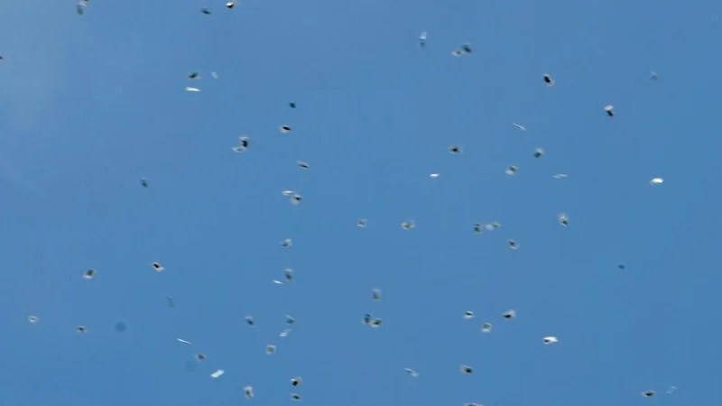 Lluvia de marihuana: un drone arroja cientos de bolsas de cannabis en Tel Aviv