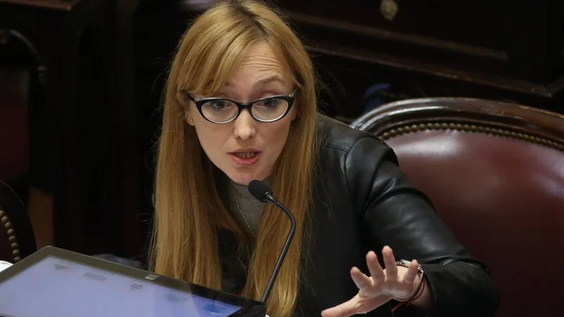 La respuesta de Sagasti a la frase de Alberto Fernández sobre el kirchnerismo