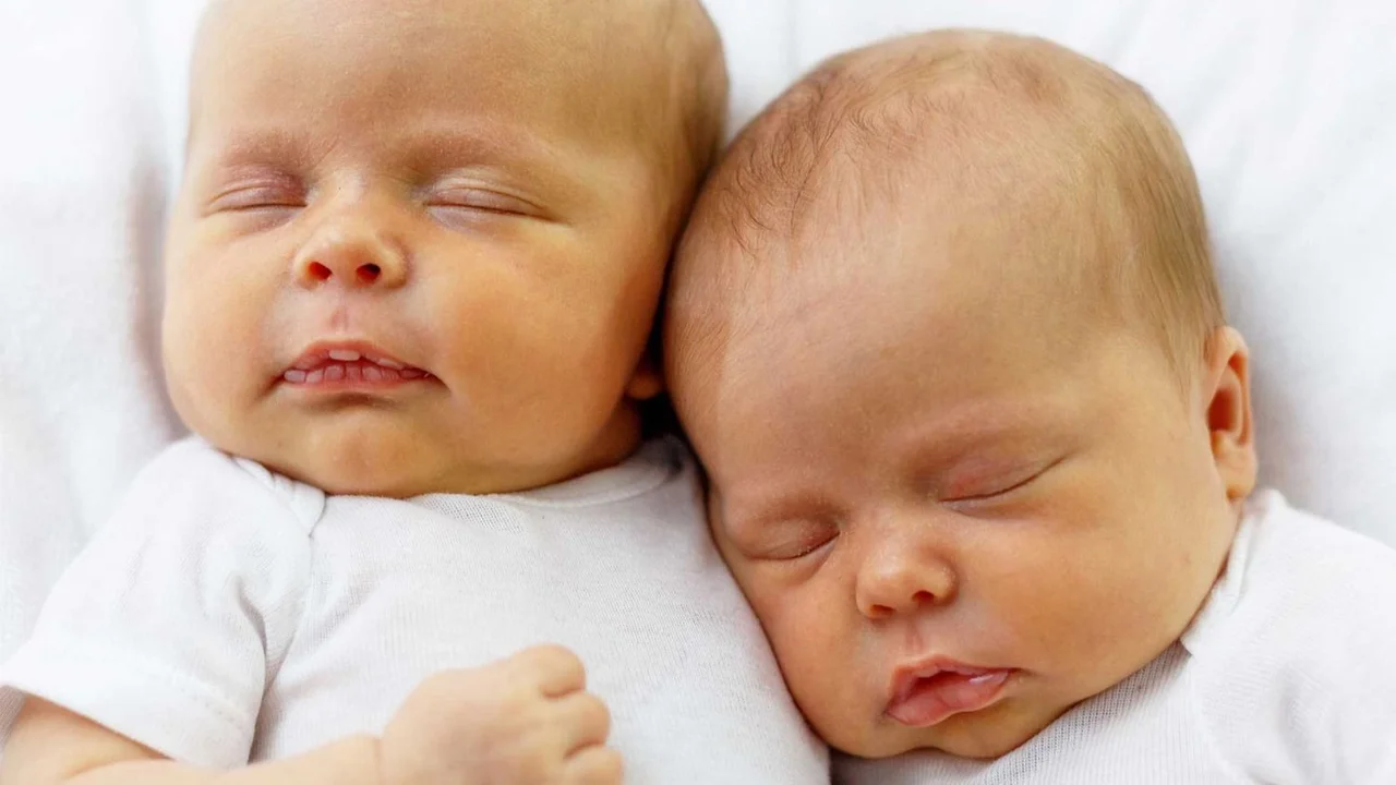 Bebés