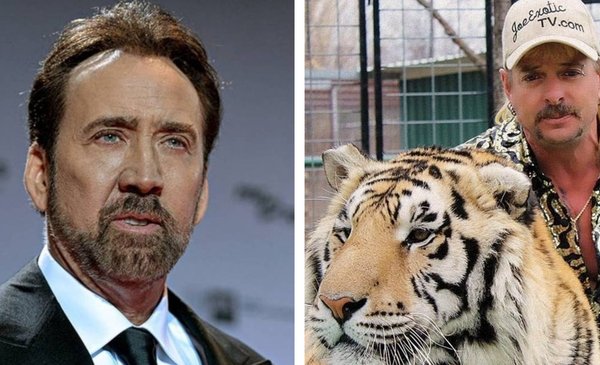 El Fenómeno Tiger King Sigue Creciendo Nicolas Cage Será Joe Exotic En La Serie Que Prepara 5697