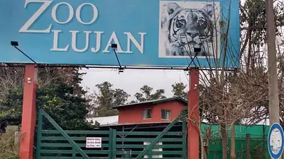 La investigación que muestra el maltrato a los animales en el Zoo de Luján La investigación que muestra el maltrato a los animales en el Zoo de Luján