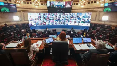 Aborto legal 2020 en el Senado: seguí el minuto a minuto de la votación