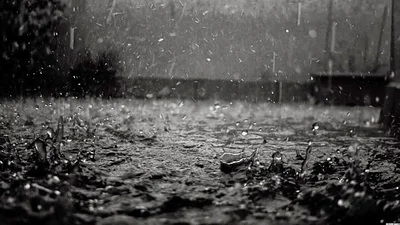 Lluvia negra: qué es el fenómeno que atemoriza a Brasil y Argentina Lluvia negra: qué es el fenómeno que atemoriza a Brasil y Argentina