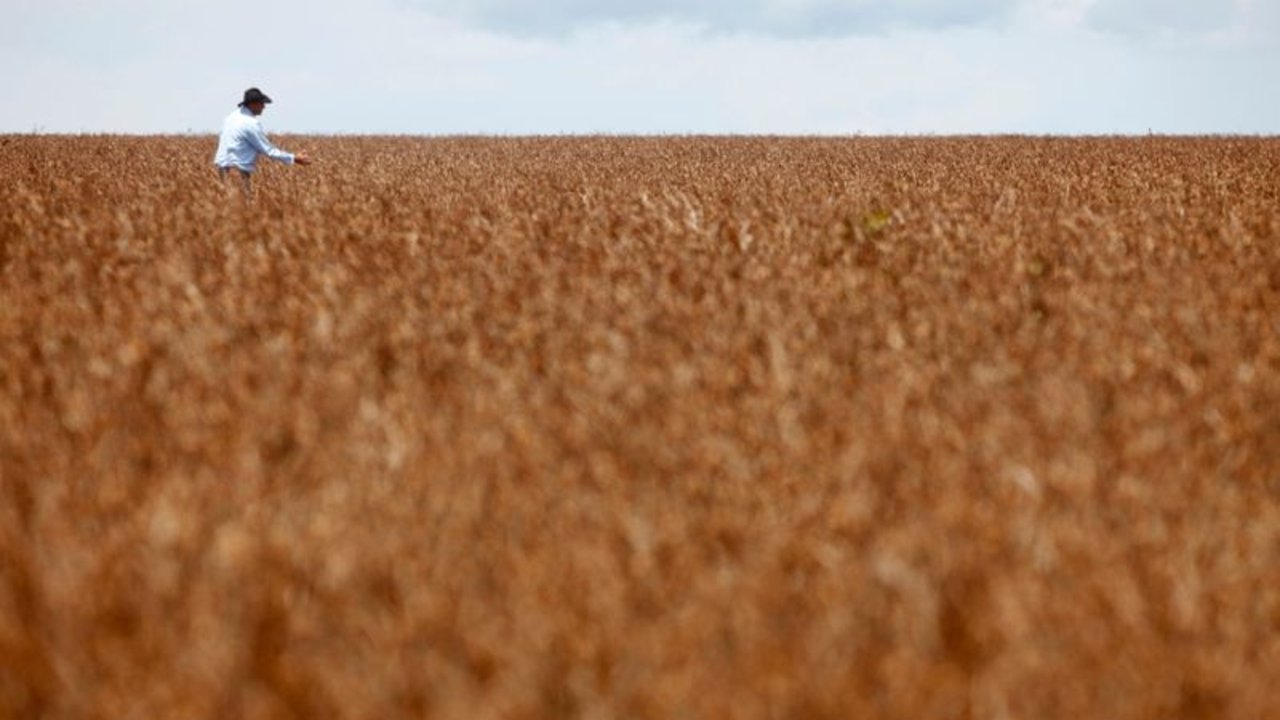 Productores de soja de Brasil se guardan cosechas a la espera de mejores precios