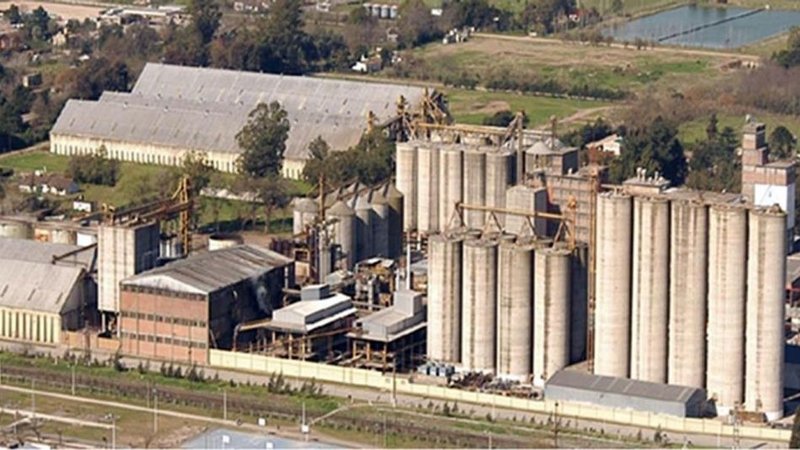 Molinos Cañuelas se presentó en concurso de acreedores y apuntó a Macri