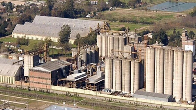 Molinos Cañuelas se presentó en concurso de acreedores y apuntó a Macri