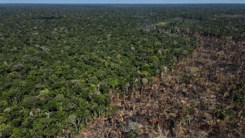Grupos originarios piden a los gobiernos proteger el Amazonas de la deforestación