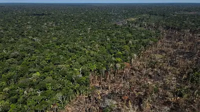 Grupos originarios piden a los gobiernos proteger el Amazonas de la deforestación Grupos originarios piden a los gobiernos proteger el Amazonas de la deforestación