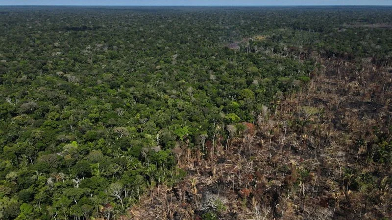 Grupos originarios piden a los gobiernos proteger el Amazonas de la deforestación