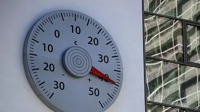 Más efectos del cambio climático: Europa acaba de tener el verano más cálido de su historia, según científicos Más efectos del cambio climático: Europa acaba de tener el verano más cálido de su historia, según científicos