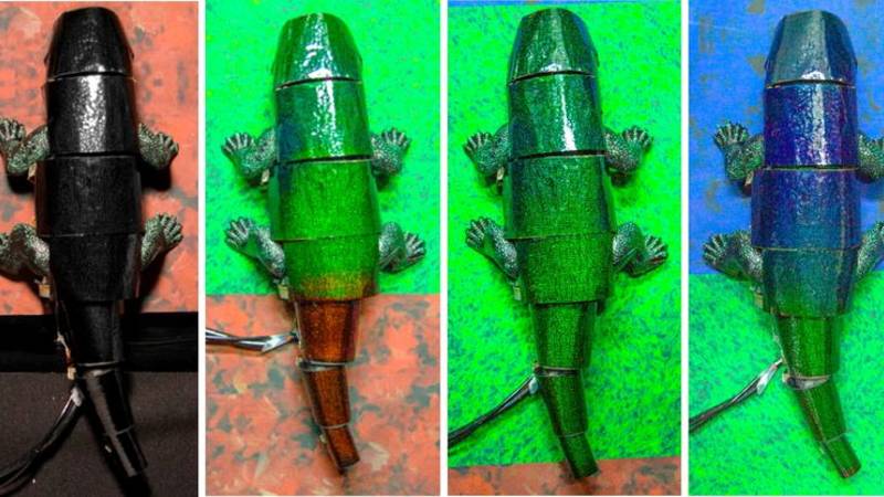 Crean "piel" artificial como la del camaleón para poder camuflarse Crean "piel" artificial como la del camaleón para poder camuflarse