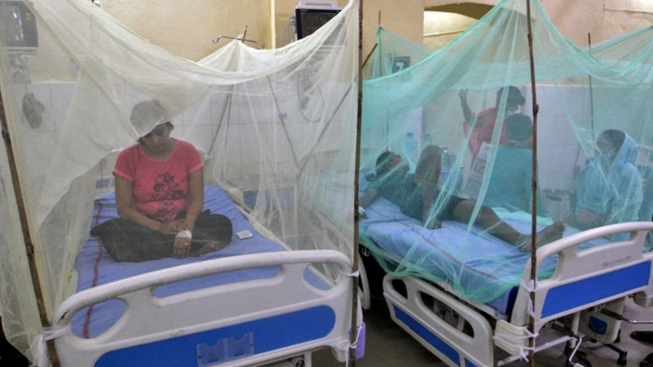 El dengue es la causa probable de decenas de muertes en el peor brote en India en años