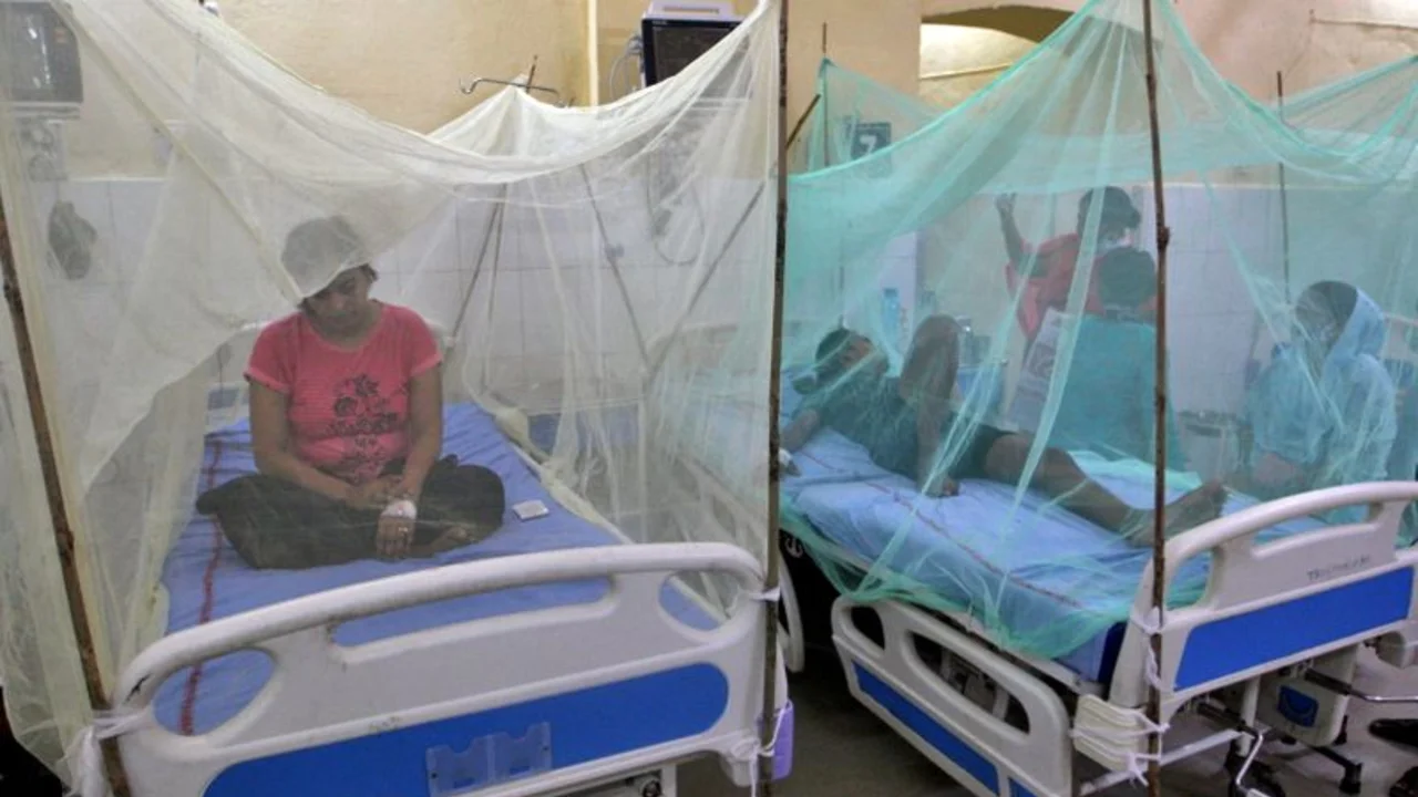 El dengue es la causa probable de decenas de muertes en el peor brote en India en años