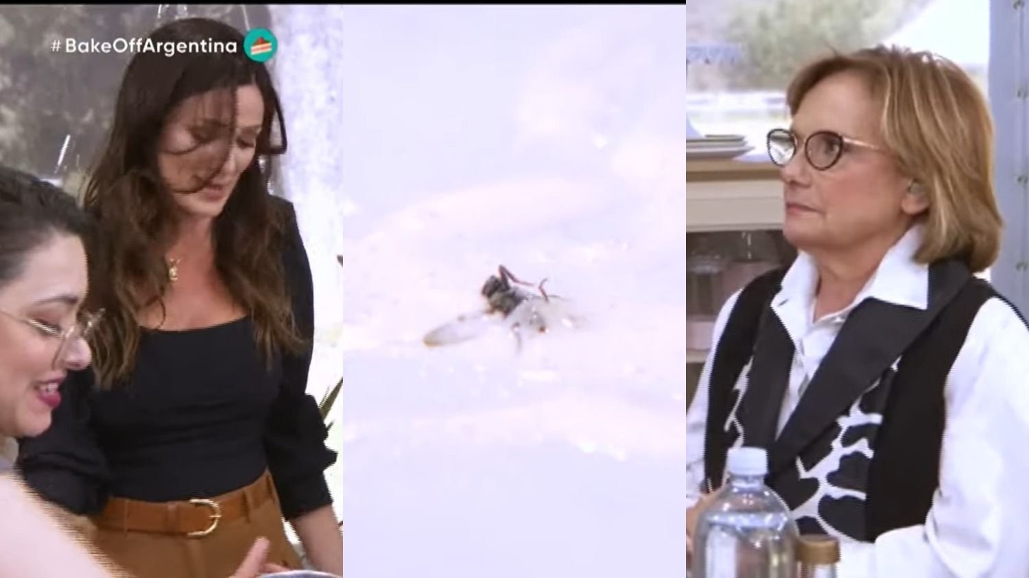 Bake Off Argentina: la mirada fulminante de Dolli Irigoyen a Paula Chaves  por jugar con una mosca en la comida | El Destape