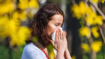Chau alergia primaveral: una infusión casera con hierbas naturales ayuda a combatir los molestos síntomas de la alergia Chau alergia primaveral: una infusión casera con hierbas naturales ayuda a combatir los molestos síntomas de la alergia