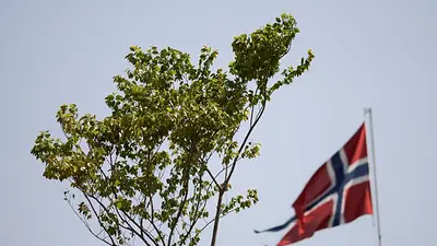 Pueblos originarios piden que Noruega brinde "asilo" a un árbol de la selva amazónica Pueblos originarios piden que Noruega brinde "asilo" a un árbol de la selva amazónica