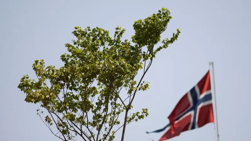 Pueblos originarios piden que Noruega brinde "asilo" a un árbol de la selva amazónica