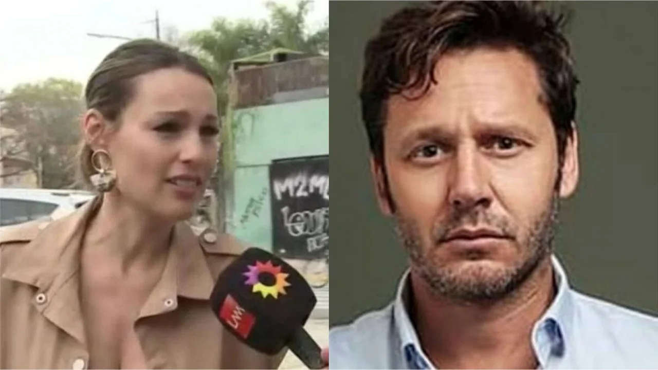 Pampita lanzó critica a Benjamín Vicuña.