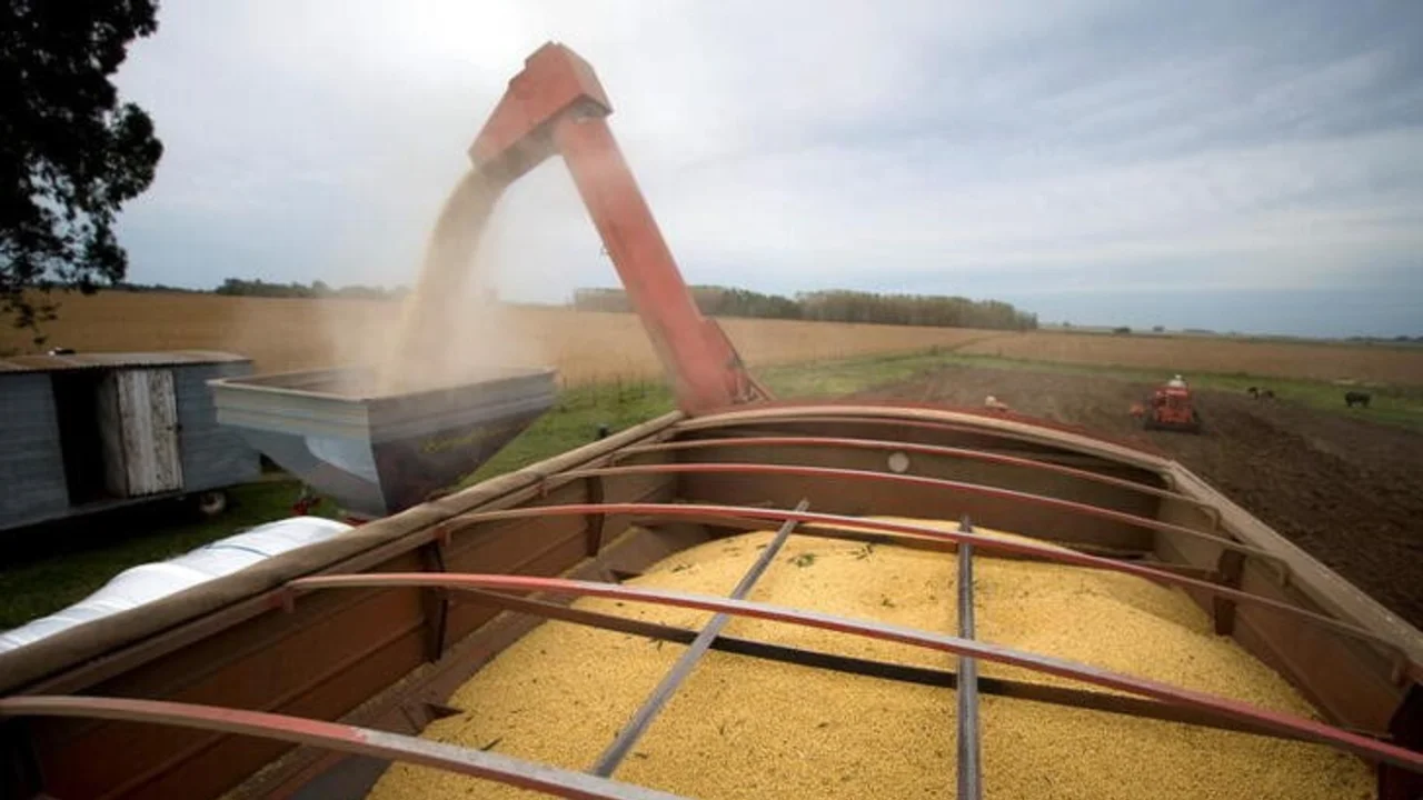 El gobierno apelará la decisión de EEUU de limitar la exportación de biodiesel