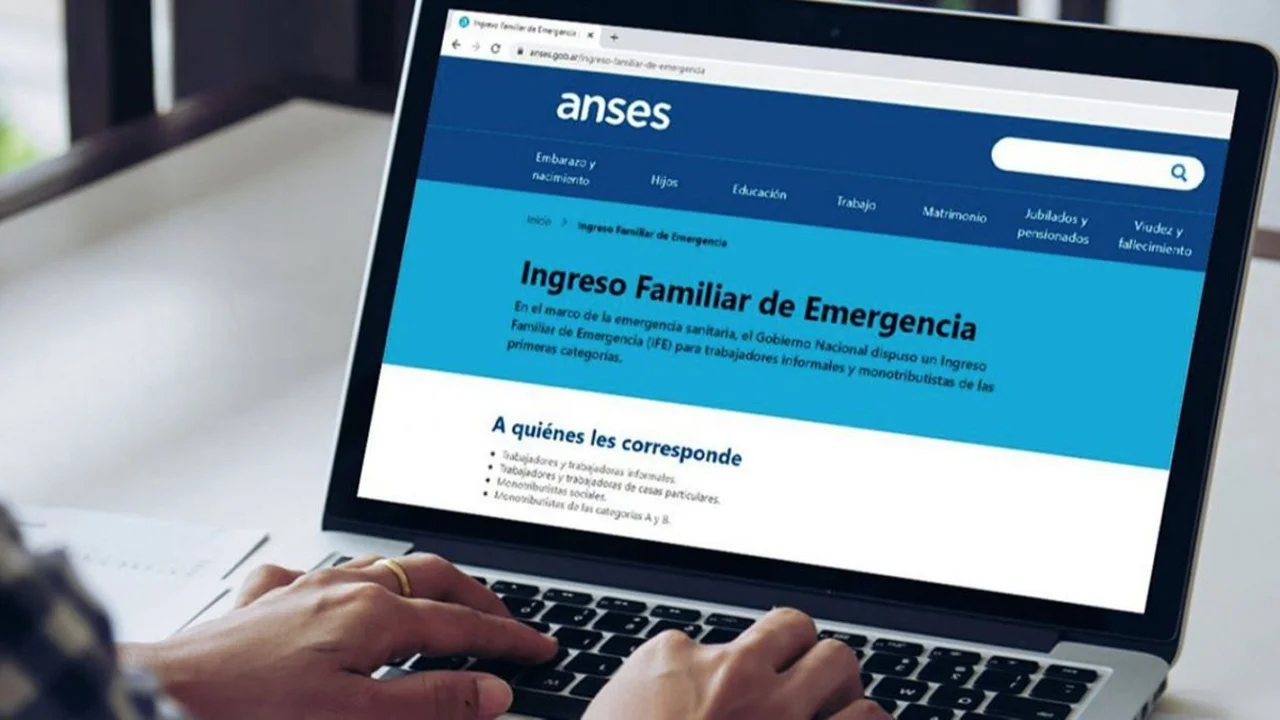 ANSES IFE