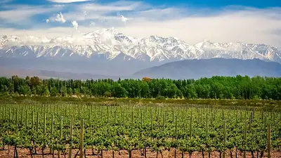Mendoza Mendoza