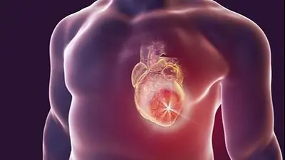 Corazón. Corazón.