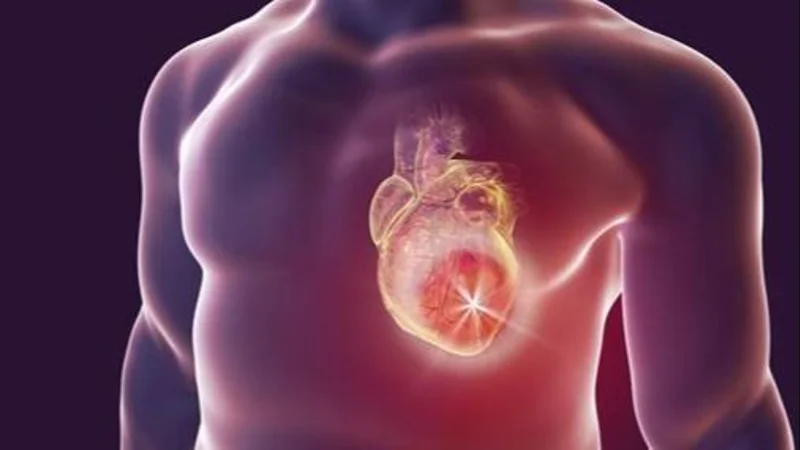 Corazón.
