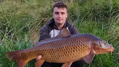 Pescó una carpa en Olavarría y pesó casi 9 kilos. Pescó una carpa en Olavarría y pesó casi 9 kilos.