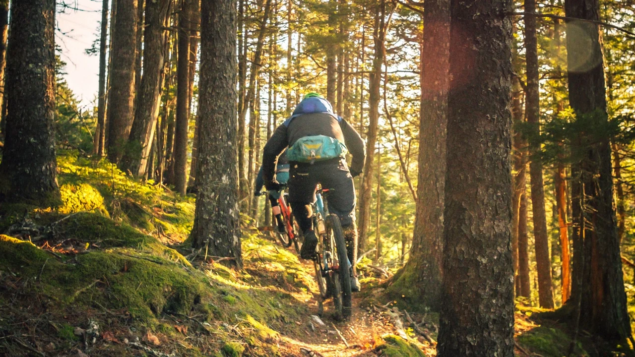 Hombre en bicicleta de montaña entre árboles y sol