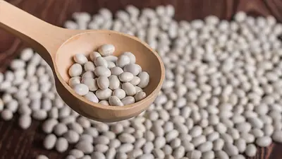 Porotos Porotos