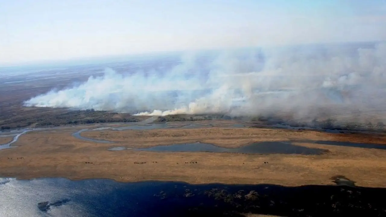 Incendios en el Delta