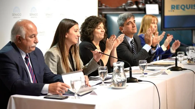 Senado: presentaron un proyecto para darle fuerza de ley al programa Remediar