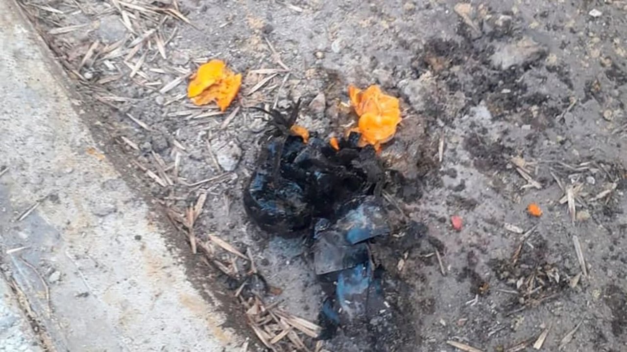 Causa vialidad: creían que eran explosivos pero detonaron tres mandarinas en la casa de un juez