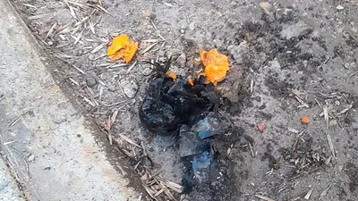Causa vialidad: creían que eran explosivos pero detonaron tres mandarinas en la casa de un juez Causa vialidad: creían que eran explosivos pero detonaron tres mandarinas en la casa de un juez