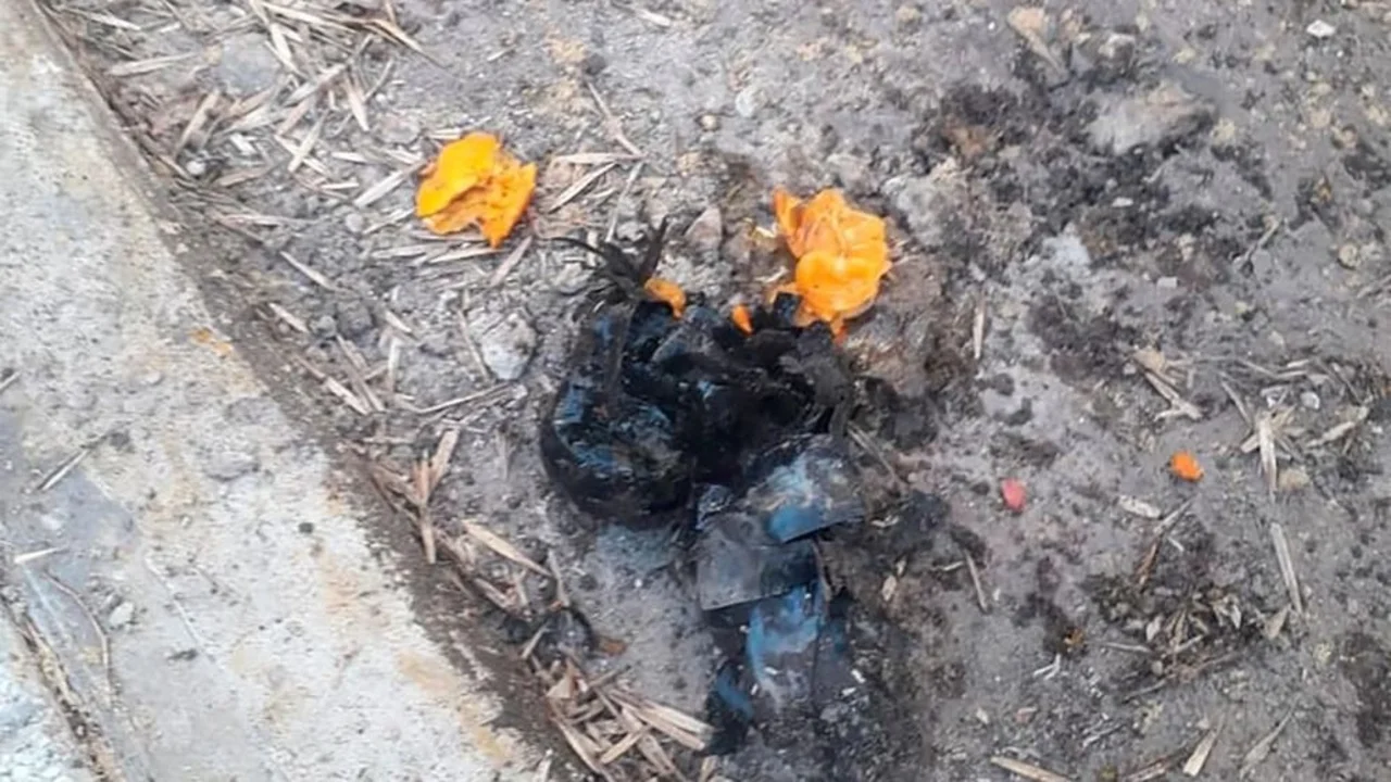 Causa vialidad: creían que eran explosivos pero detonaron tres mandarinas en la casa de un juez