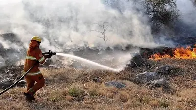 Incendios forestales: el fuego se reactivó en Traslasierra pero fue controlado Incendios forestales: el fuego se reactivó en Traslasierra pero fue controlado