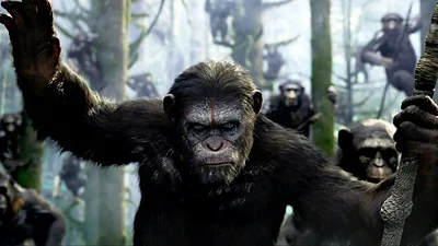 El Planeta de los Simios. Kingdom of the Planet of the Apes El Planeta de los Simios. Kingdom of the Planet of the Apes