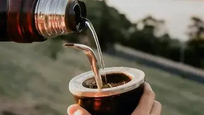 Yerba mate Yerba mate