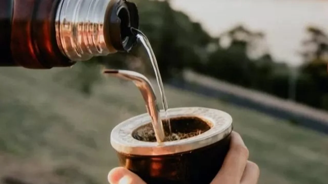 Yerba mate